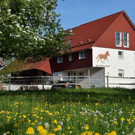 Bachaeckerhof - Nichtraucherhotel- *