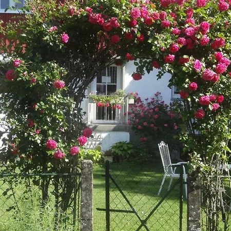 Bachaeckerhof - Nichtraucherhotel- * Ravensburg