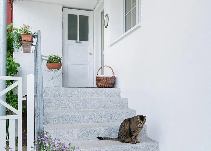 ゲストハウス Bachaeckerhof - Nichtraucherhotel-