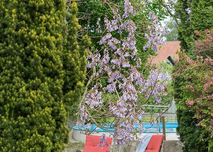 Bachaeckerhof - Nichtraucherhotel- ゲストハウス 3*