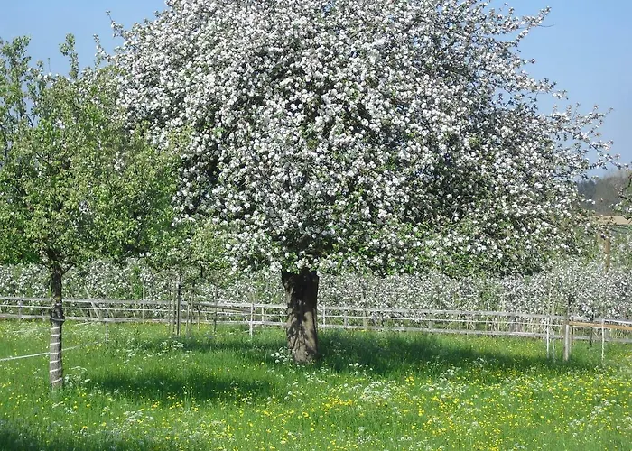 Bachaeckerhof - Nichtraucherhotel- ゲストハウス