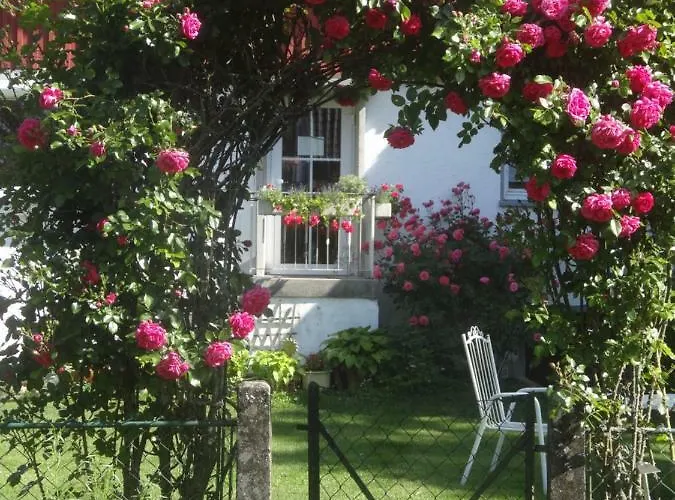 Bachaeckerhof - Nichtraucherhotel- 3* ラーベンスブルク