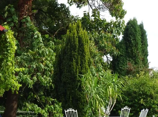 Bachaeckerhof - Nichtraucherhotel- ラーベンスブルク